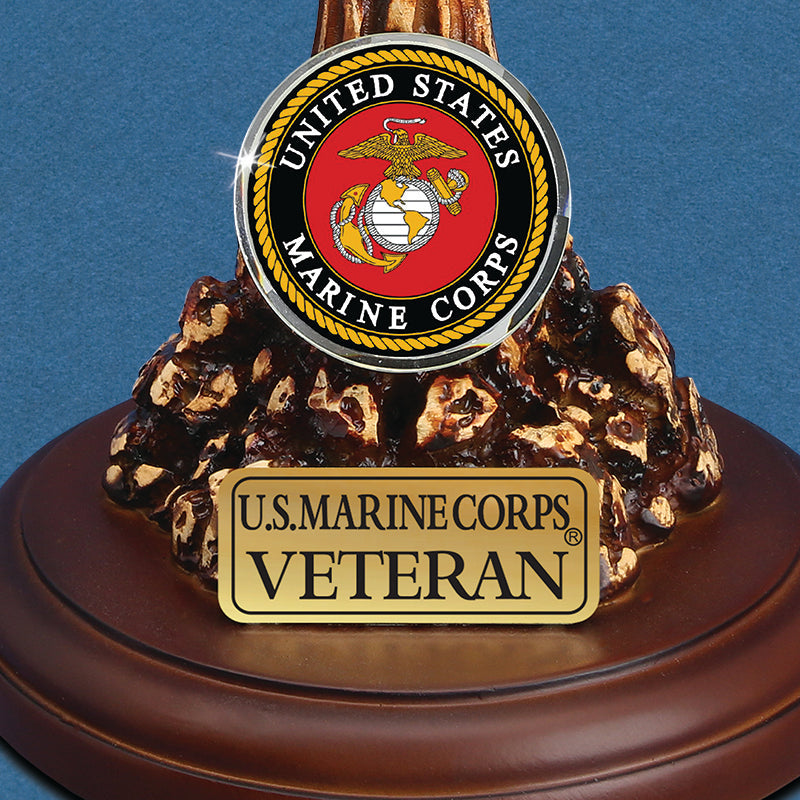 MP2R-243-9V: U.S. Marine Corps Eagle, Globe and Anchor (Veteran)
