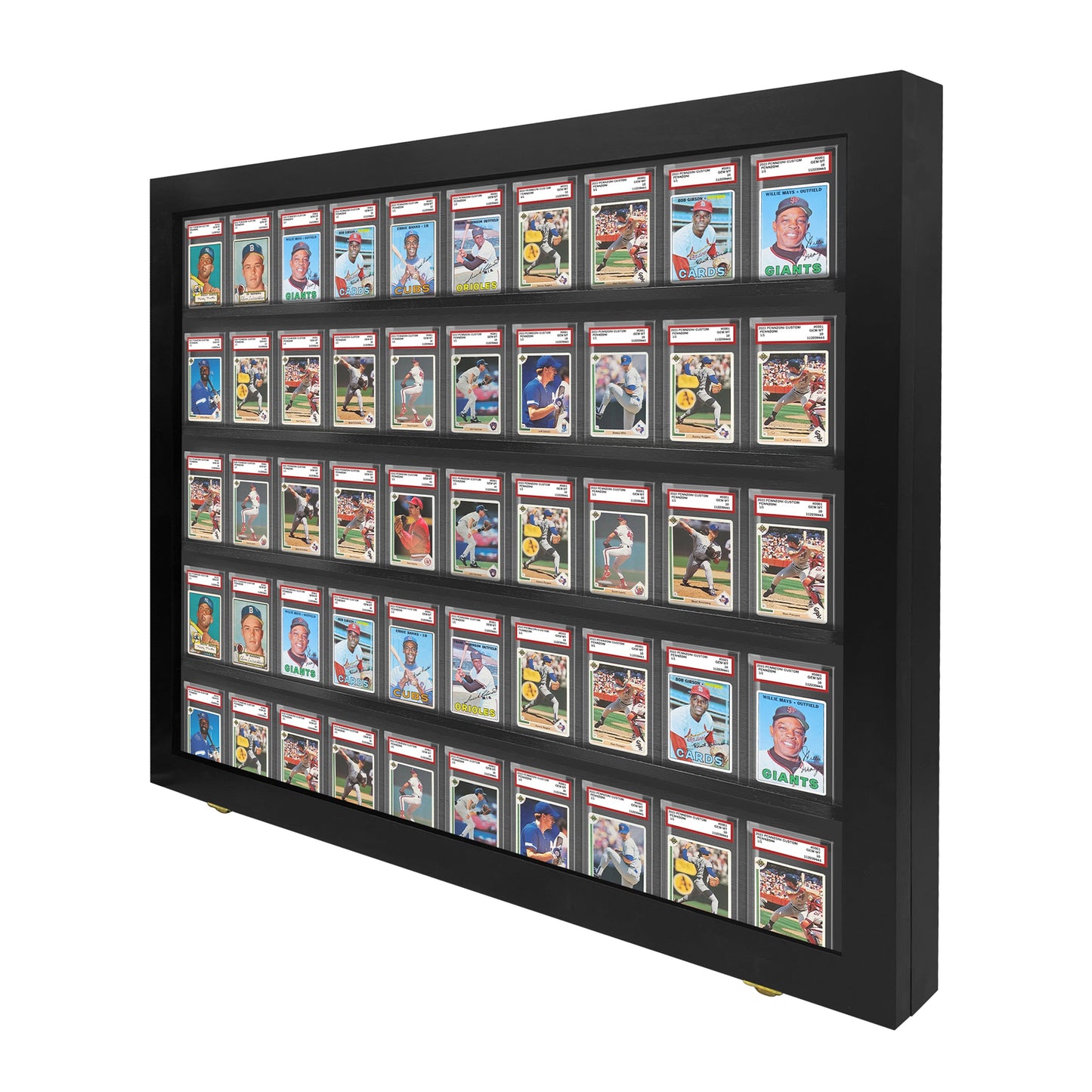 50 Graded PSA - Card Display